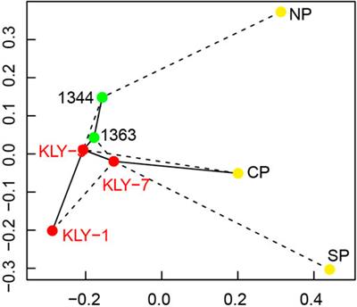 Sedimentary Provenance Changes Constrain the Eocene Initial Uplift of the Central Pamir, NW Tibetan Plateau